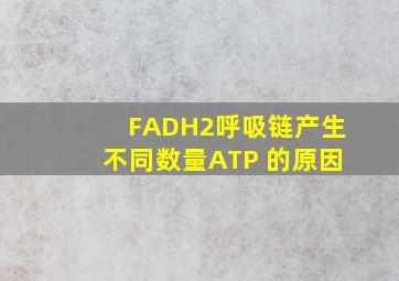 FADH2呼吸链产生不同数量ATP 的原因